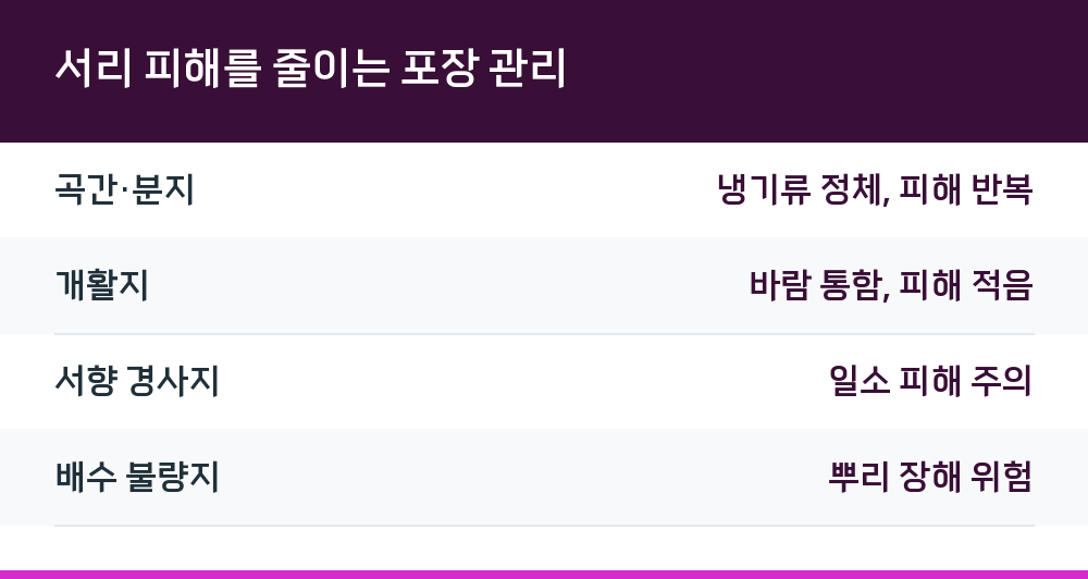 서리 피해를 줄이는 포장 관리
