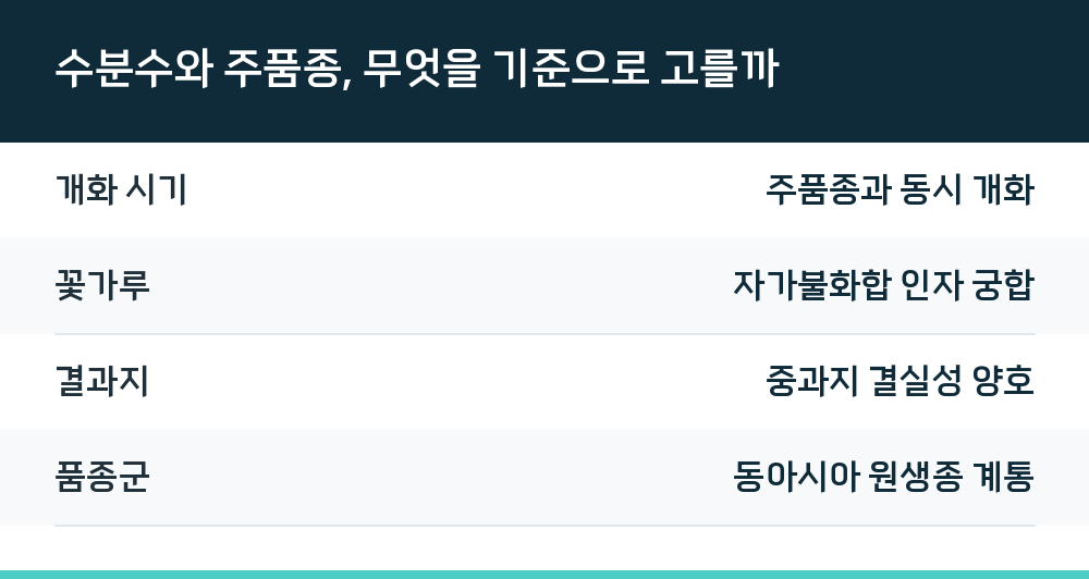 수분수와 주품종, 무엇을 기준으로 고를까