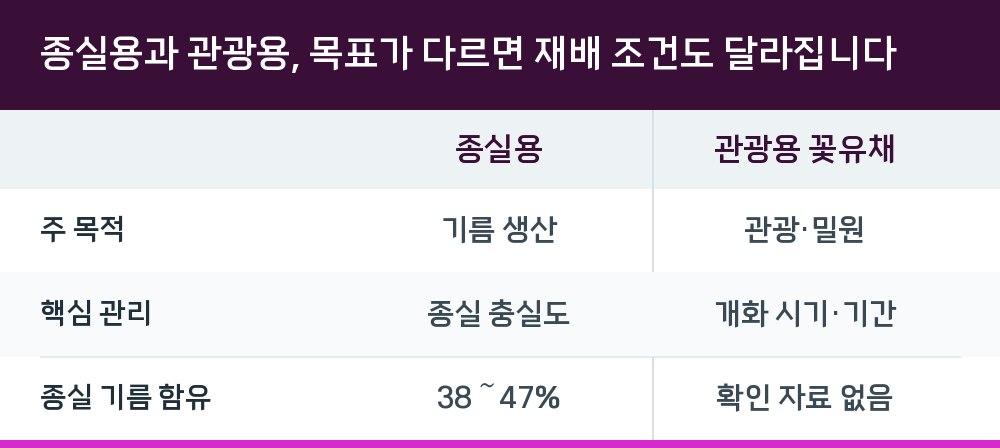 종실용과 관광용, 목표가 다르면 재배 조건도 달라집니다
