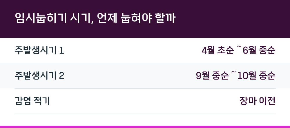 임시눕히기 시기, 언제 눕혀야 할까
