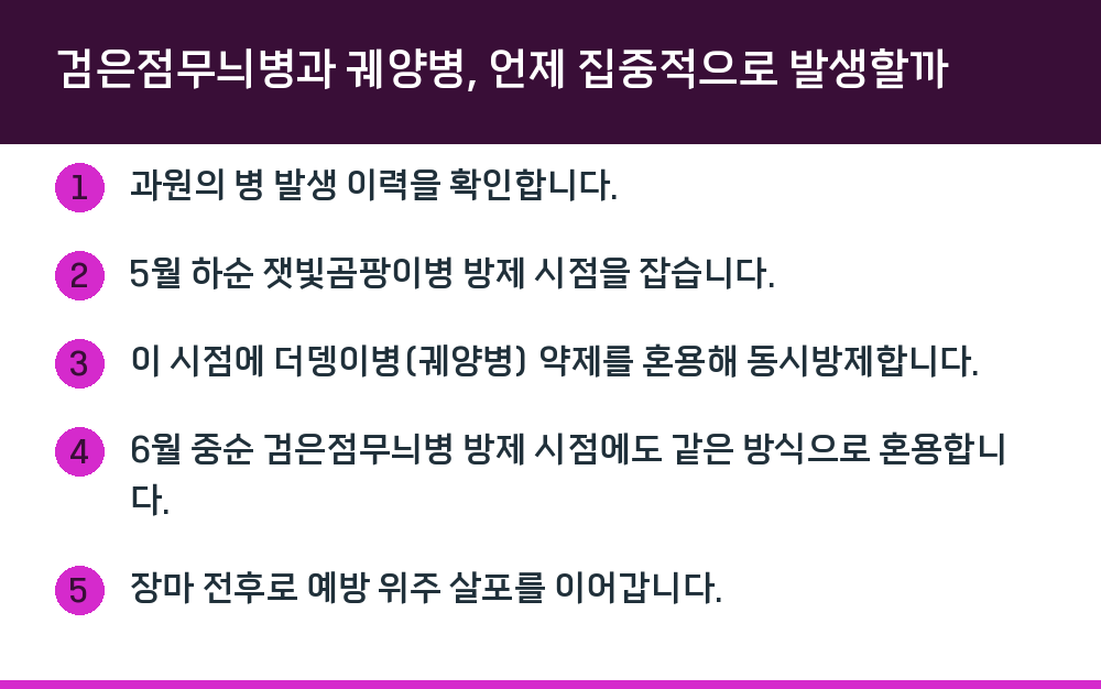 검은점무늬병과 궤양병, 언제 집중적으로 발생할까