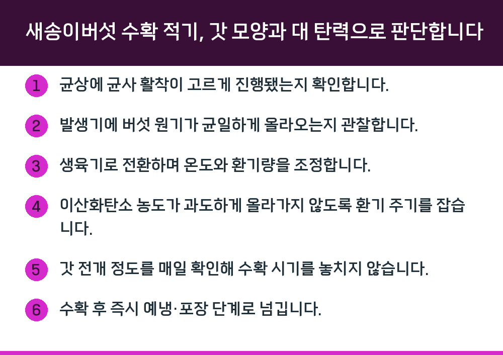 새송이버섯 수확 적기, 갓 모양과 대 탄력으로 판단합니다