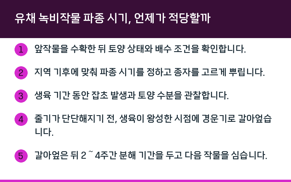 유채 녹비작물 파종 시기, 언제가 적당할까