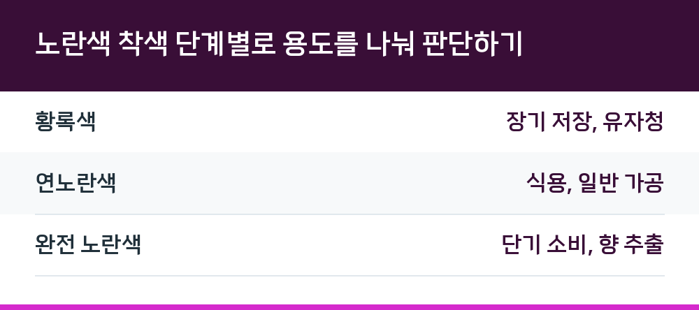 노란색 착색 단계별로 용도를 나눠 판단하기