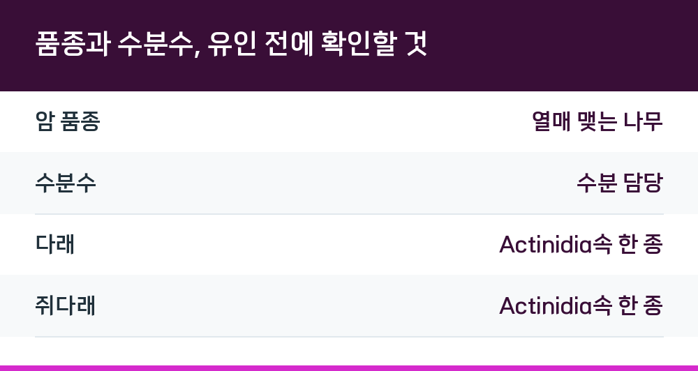 품종과 수분수, 유인 전에 확인할 것