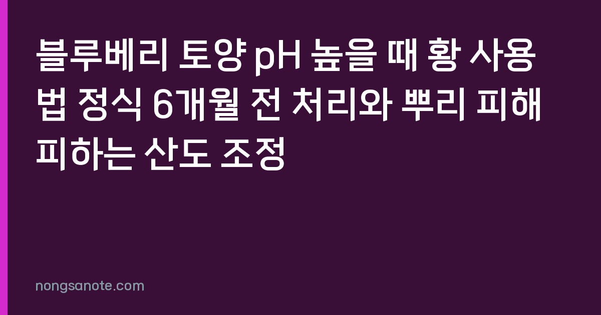블루베리 토양 pH 높을 때 황 사용법 정식 6개월 전 처리와 뿌리 피해 피하는 산도 조정