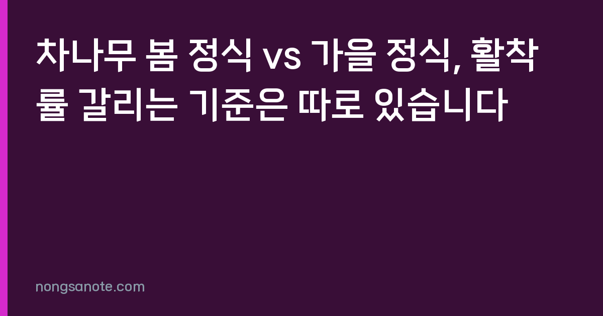 차나무 봄 정식 vs 가을 정식, 활착률 갈리는 기준은 따로 있습니다