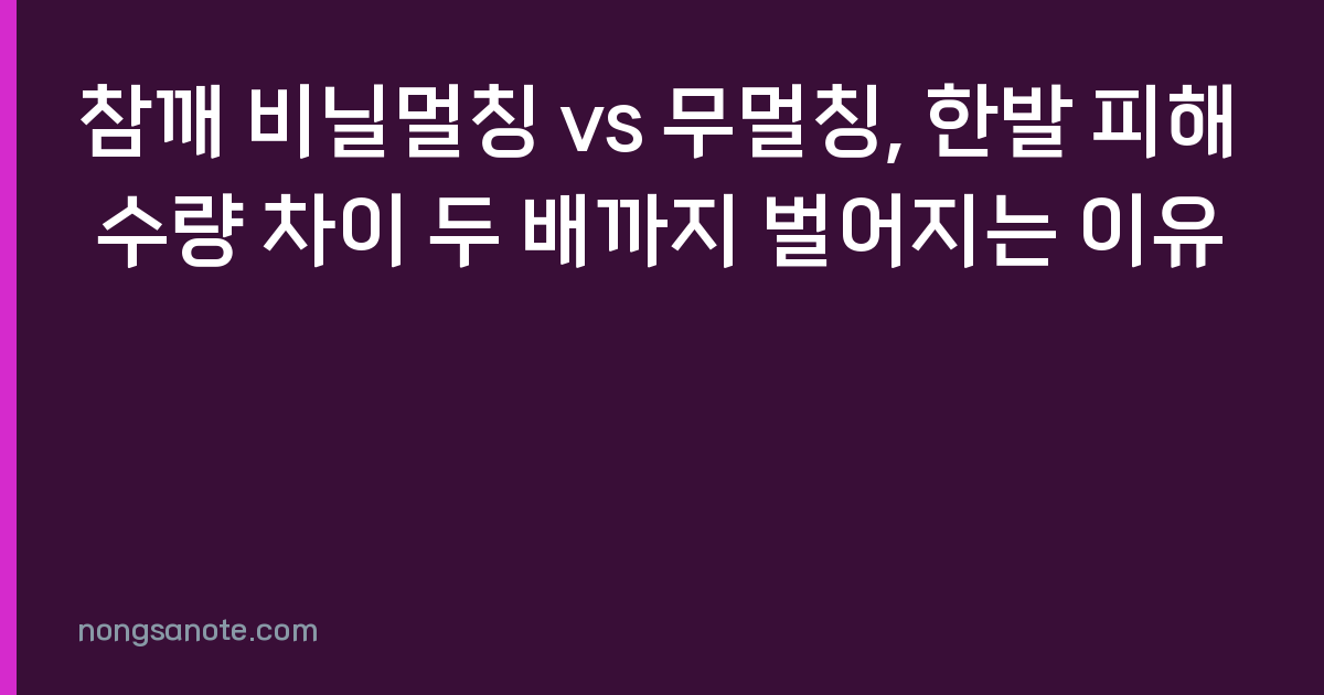 참깨 비닐멀칭 vs 무멀칭, 한발 피해 수량 차이 두 배까지 벌어지는 이유