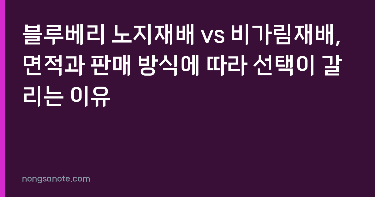 블루베리 노지재배 vs 비가림재배, 면적과 판매 방식에 따라 선택이 갈리는 이유