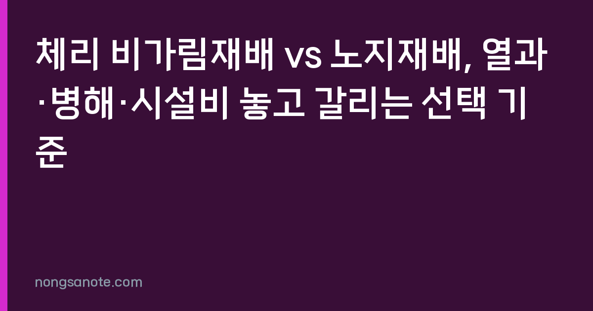 체리 비가림재배 vs 노지재배, 열과·병해·시설비 놓고 갈리는 선택 기준