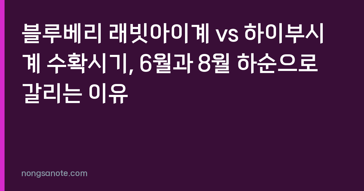 블루베리 래빗아이계 vs 하이부시계 수확시기, 6월과 8월 하순으로 갈리는 이유