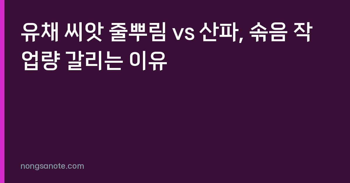 유채 씨앗 줄뿌림 vs 산파, 솎음 작업량 갈리는 이유